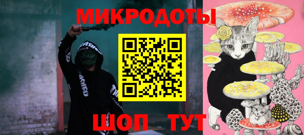 Псилоцибиновые грибы Psilocybe Казань