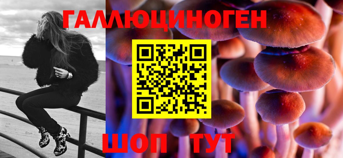 Галлюциногенные грибы Cubensis  Псилоцибиновые грибы Psilocybine cubensis  Казань  Вход с VPN 